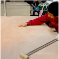 Hot new product plywood sheets